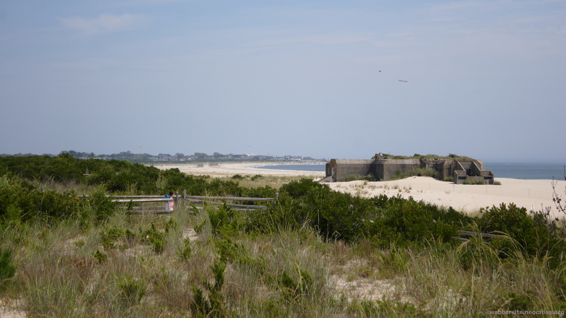 Fort Miles Battery #223